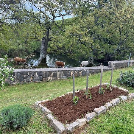 Holiday House Green Dream Obrovac Εξωτερικό φωτογραφία