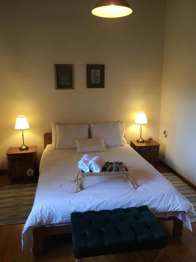 Holiday House Green Dream Obrovac Εξωτερικό φωτογραφία