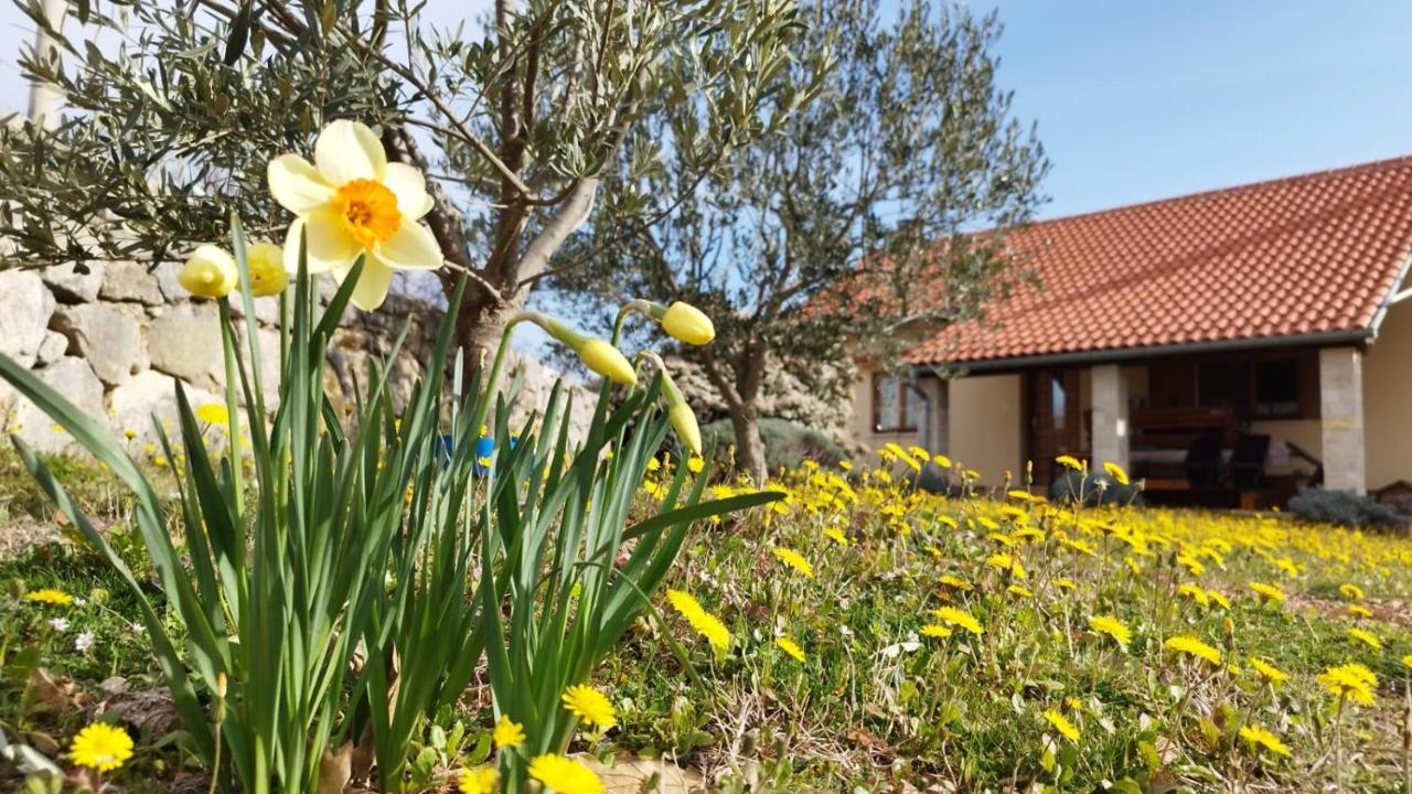 Holiday House Green Dream Obrovac Εξωτερικό φωτογραφία