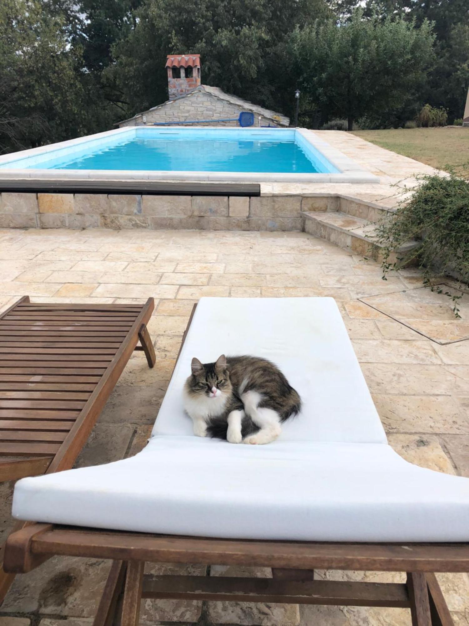Holiday House Green Dream Obrovac Εξωτερικό φωτογραφία