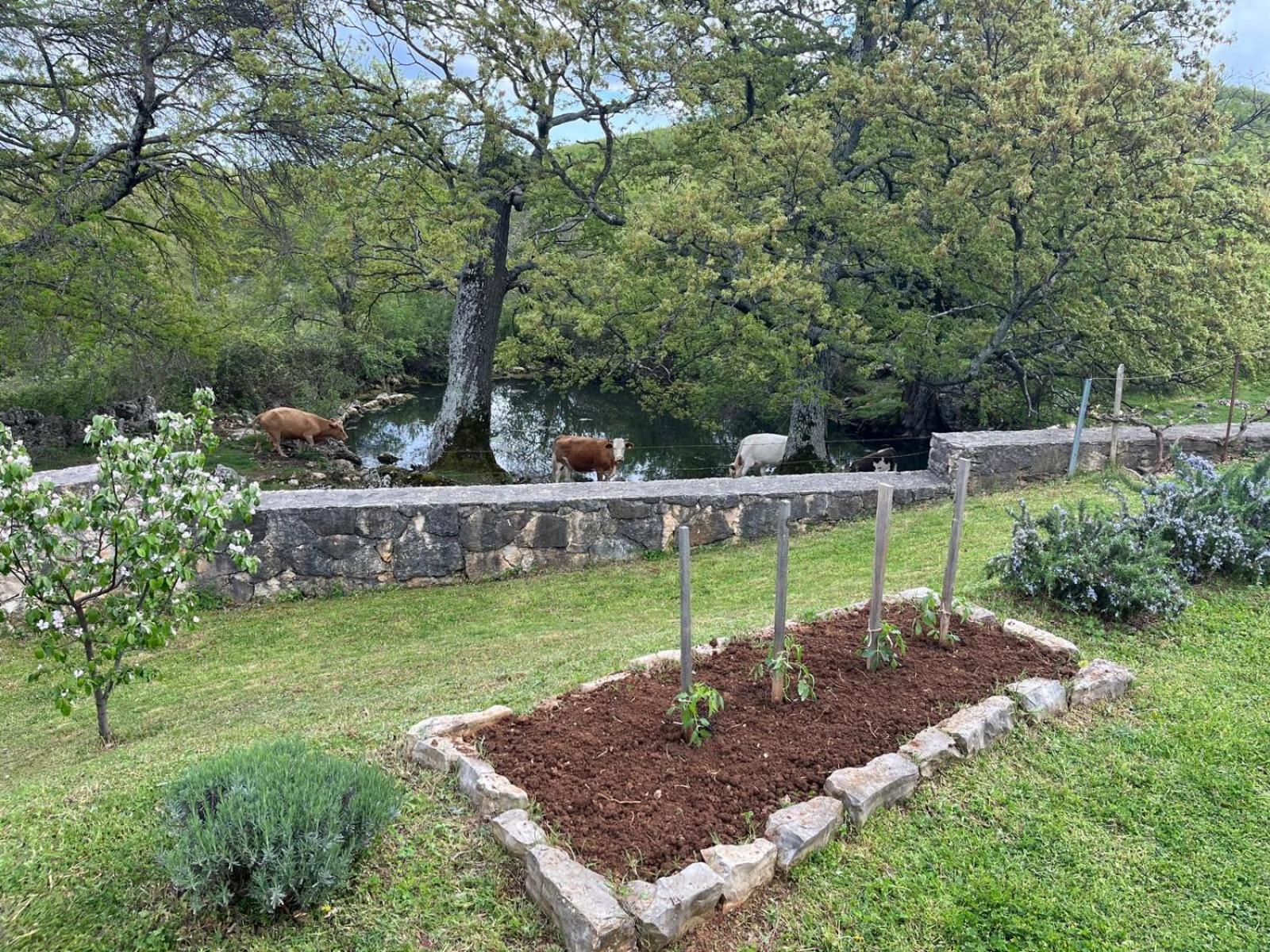 Holiday House Green Dream Obrovac Εξωτερικό φωτογραφία